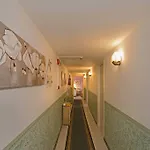 Rex 3*